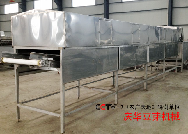 大型黃豆芽清洗機(jī)